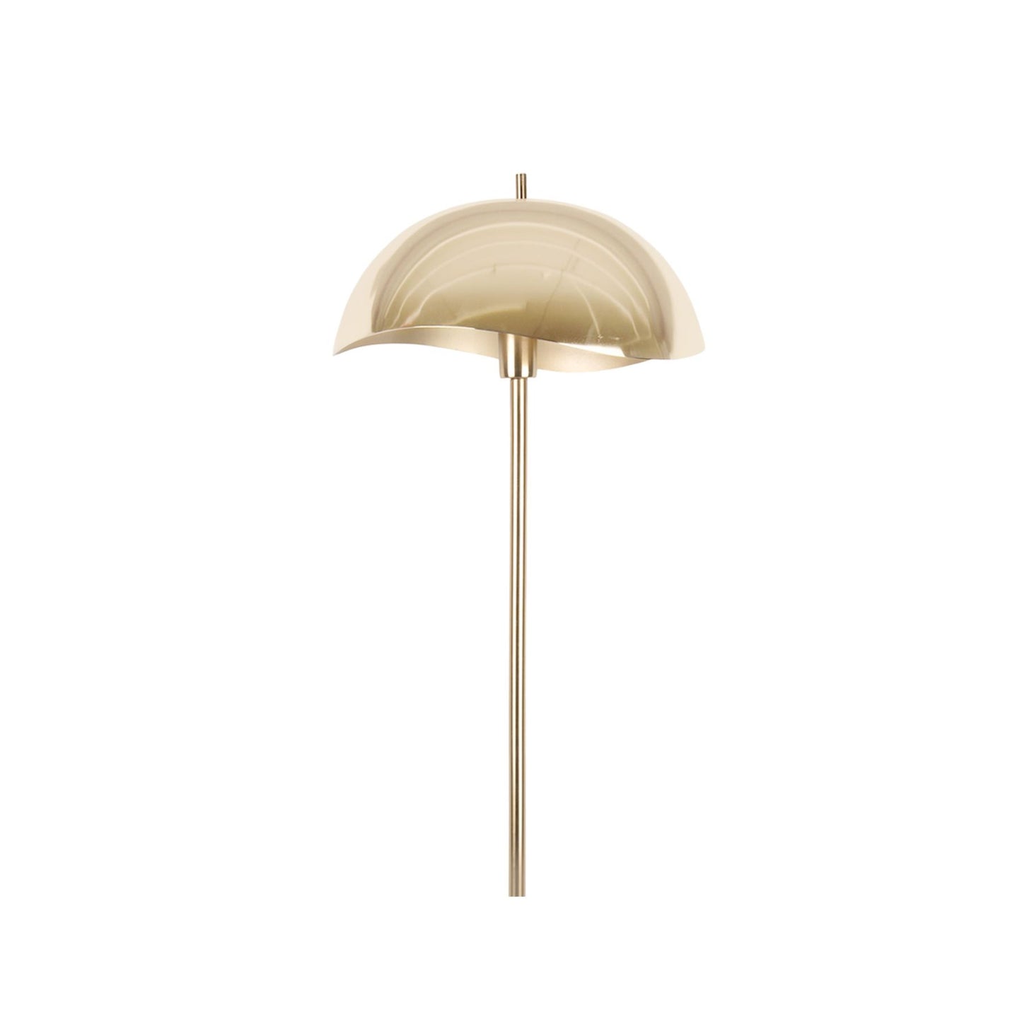 Tozon Floor Lamp
